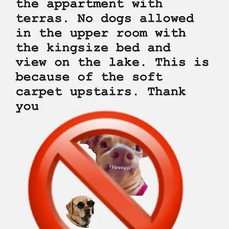 Amster Houseboat Bed Without Breakfast Konukevi Amsterdam